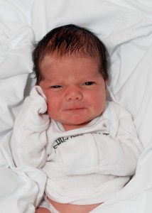 {99d9cb96-446b-449d-96c9-ad02a433792f}_5