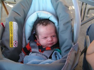 My friend Zelda taught me how to be sneaky!