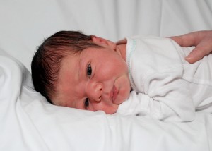 {edb82590-96d1-4198-ba67-e129d4dff1b1}_3